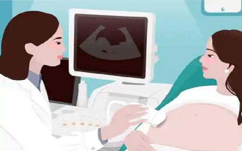 试管见少量菌丝代生