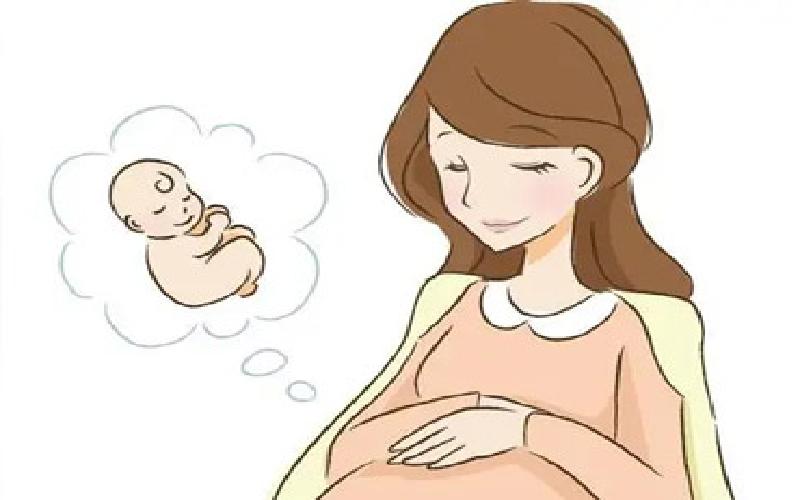 试管检查有卵泡代生